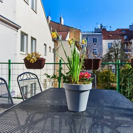 Appartement Cozy With Terrace Near Castle *